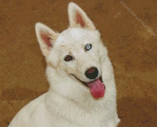 Blue Eye Husky Dog Diamond Painting