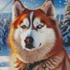 Blue Eyed Brown Husky Diamond Painting