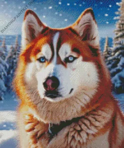 Blue Eyed Brown Husky Diamond Painting