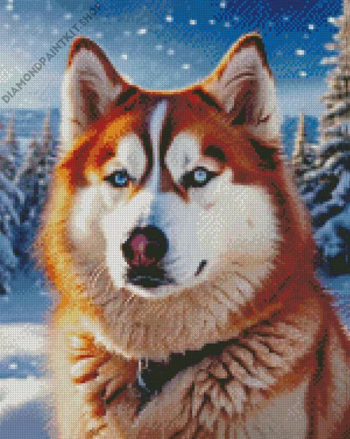 Blue Eyed Brown Husky Diamond Painting