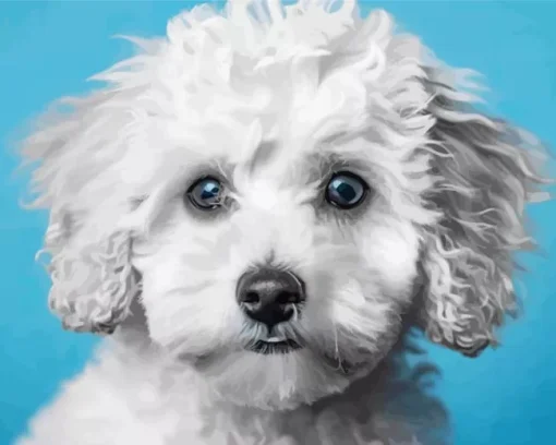 Blue Eyed Maltipoo Diamond Painting