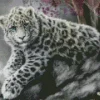 Blue Eyed Snow Leopard Diamond Painting