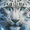 Blue Eyed Snow Leopard Face Diamond Painting