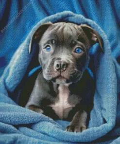 Blue Eyed Staffordshire Bull Terrier Diamond Painting