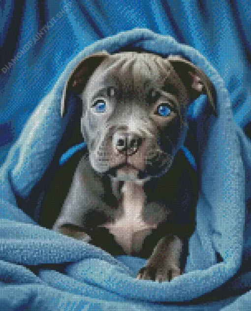 Blue Eyed Staffordshire Bull Terrier Diamond Painting