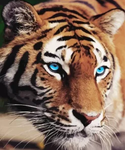 Blue Eyed Tiger Diamond Painting