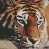 Blue Eyed Tiger Diamond Painting