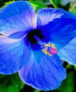 Blue Hawaiian Flower Diamond Painting