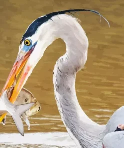 Blue Heron Eating Fish Diamond Painting