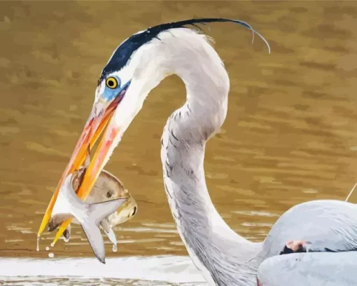 Blue Heron Eating Fish Diamond Painting