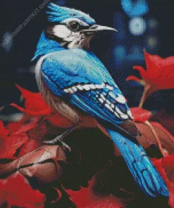 Blue Jay Bird Diamond Painting