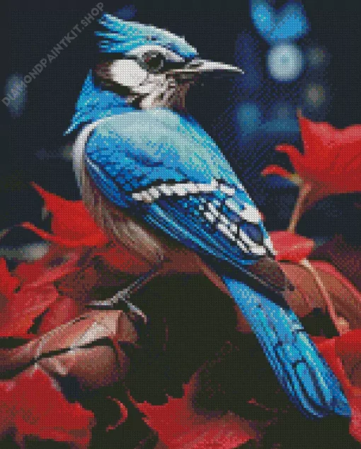 Blue Jay Bird Diamond Painting