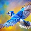 Blue Jay Bird Flying Diamond Painting