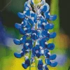 Blue Lupine Flower Diamond Painting