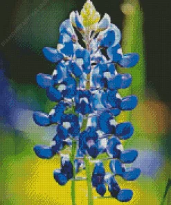 Blue Lupine Flower Diamond Painting