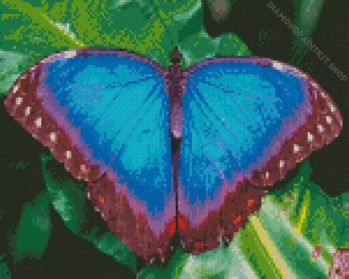 Blue Morpho Butterfly Diamond Painting