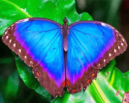 Blue Morpho Butterfly Diamond Painting