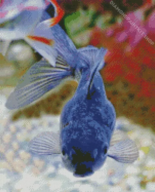 Blue Oranda Fish Diamond Painting