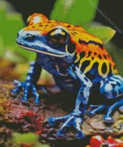 Blue Orange Frog Diamond Painting