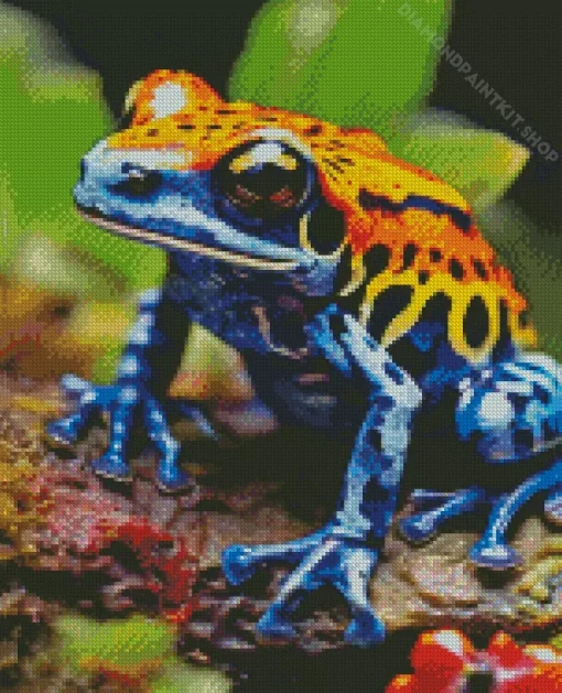 Blue Orange Frog Diamond Painting