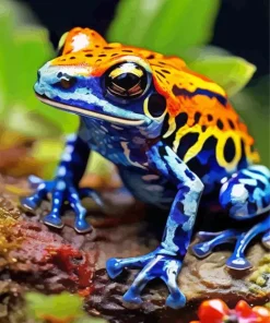 Blue Orange Frog Diamond Painting