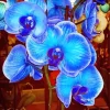 Blue Orchid Diamond Painting