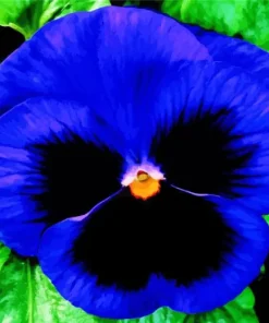 Blue Pansy Flower Diamond Painting