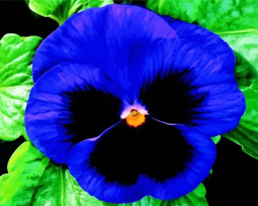 Blue Pansy Flower Diamond Painting