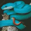 Blue Pit Viper Diamond Painting