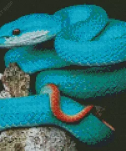 Blue Pit Viper Diamond Painting