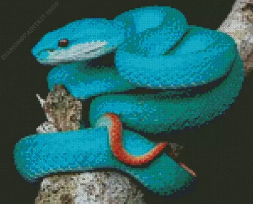 Blue Pit Viper Diamond Painting