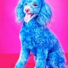 Blue Poodle Dog Diamond Painting