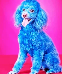 Blue Poodle Dog Diamond Painting