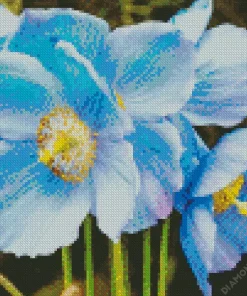 Blue Poppies Flowers Diamond Painting