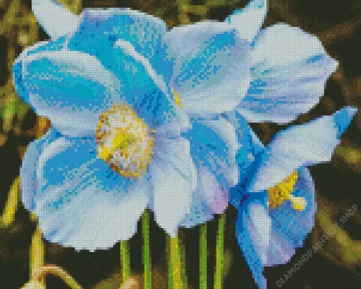 Blue Poppies Flowers Diamond Painting