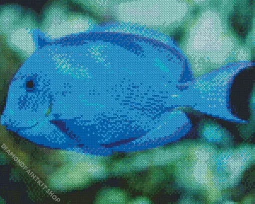 Blue Tropical Fish Underwater Diamond Painting