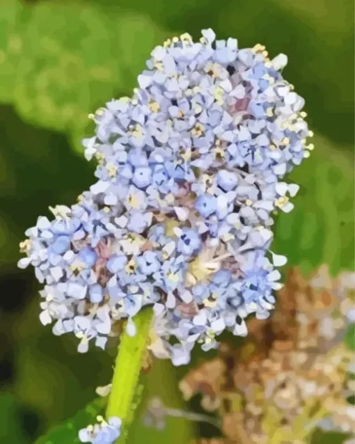 Blueblossom Plant Diamond Painting