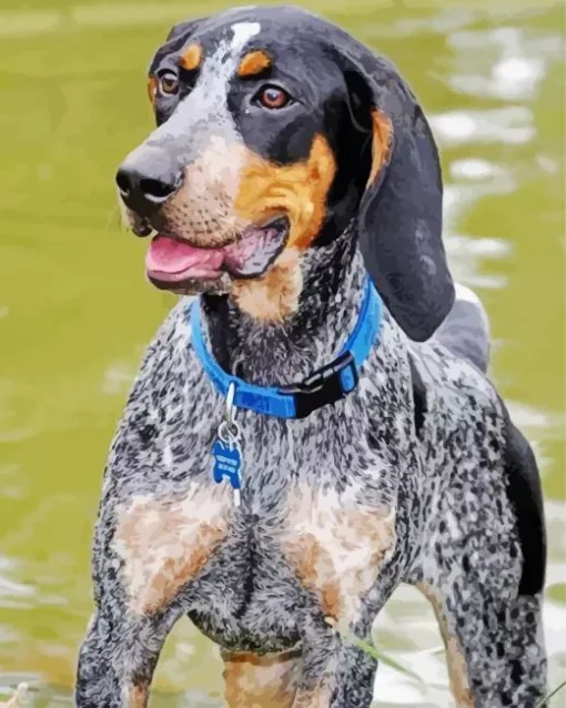 Bluetick Coonhound Dog Diamond Painting