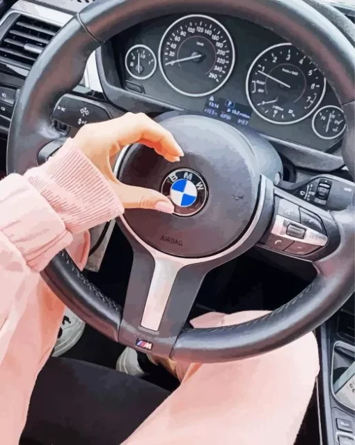 Bmw Steering Wheel With Hand Diamond Painting