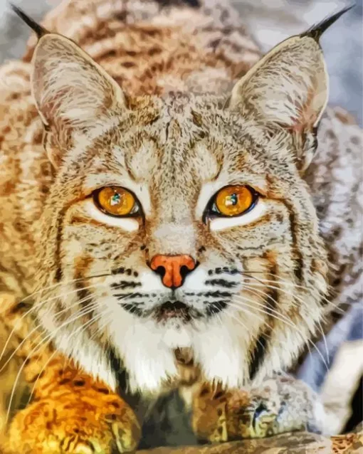 Bobcat Face Diamond Painting