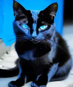 Bombay Cat With Blue Eyes Diamond Painting