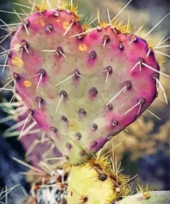 Cactus Heart Diamond Painting