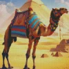 Egypt Camel Diamond Painting