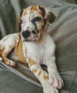 Fawnequin Great Dane Diamond Painting