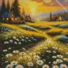 Field Daisy Art Diamond Painting