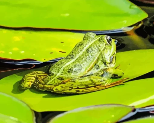 Frog And Lily Pad Diamond Painting