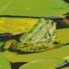 Frog And Lily Pad Diamond Painting