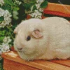 Guinea Pig Flower Diamond Painting