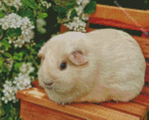 Guinea Pig Flower Diamond Painting