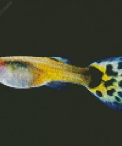 Guppy Fish Diamond Painting